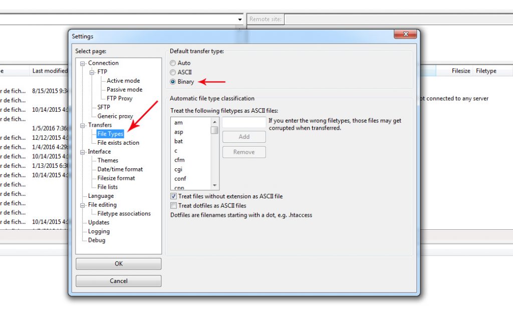 filezilla-mode-binary-setp-2